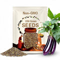 1000 LONG PURPLE EGGPLANT Solanum Melongena Esculentum Vegetable Seeds