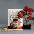 20 Japanese Red Maple Tree Seeds: Bonsai Acer Palmatum