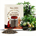 20 Rare Pepino Melon Seeds: Exotic Sweet Fruit for Gardens
