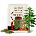 Stinging Nettle Seeds - Heirloom Seeds, Medicinal Herb Seeds, Herbalism, Culinary Herb, Open Pollinated, Non-GMO