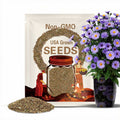 New England Aster Seeds – Native Heirloom Plant, Purple Fall Flowers for Pollinator Garden, Easy to Grow | 200 Seeds