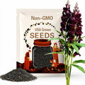 Black Prince Snapdragon Seeds: Dark Maroon Gothic Blooms (25 Seeds)