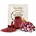 Radicchio Rouge de Verona Seeds 200+ Vegetable Garden NON-GMO USA