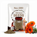 25+ Seeds| Greenheart Orange Calendula Seeds - Herb Seeds - Clumping - Easy to Plant - Plant in Early Spring/Late Summer to Fall #H011