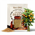 Groundcherry seeds Physalis heterophylla