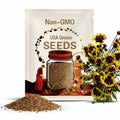 Coreopsis Corusco Cream Red Seeds