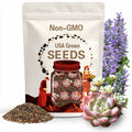 Echeveria Dream Yume Mori Seeds: Rare Succulent Seeds [10 seeds]